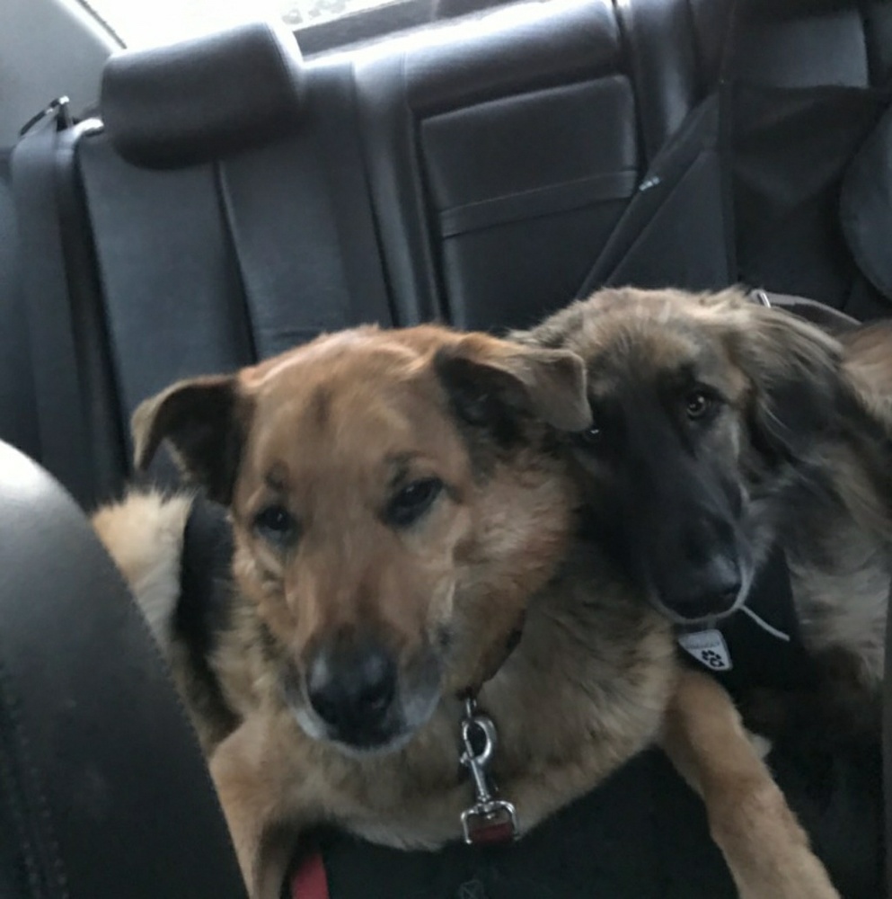 Meet your Posher, Nicola